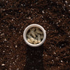 Physician's Choice Soil-Based Probiotic 30-count bottle in the soil